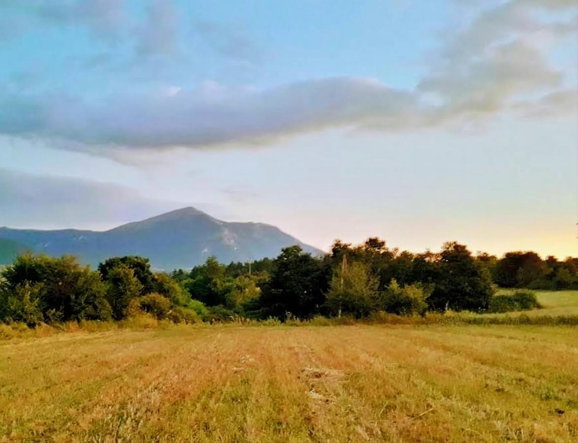Villa Saturea Boljevac Экстерьер фото