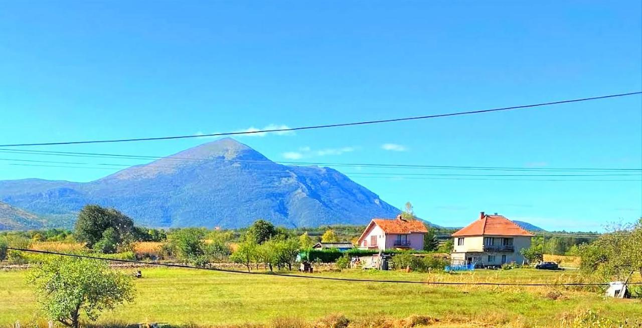 Villa Saturea Boljevac Экстерьер фото